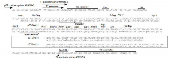 5d47d3f729167.png blob.png