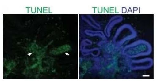 647447ace8241.png image.png