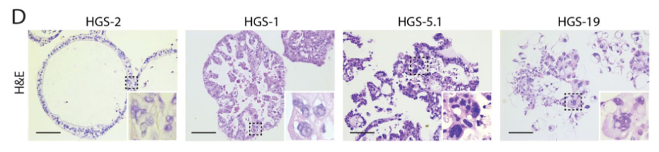 6474499e1da02.png image.png