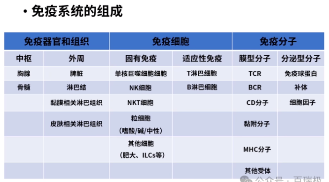 66308ad6a5ed0.png image.png